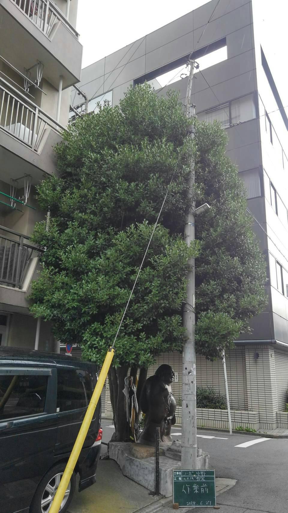 植木屋さん