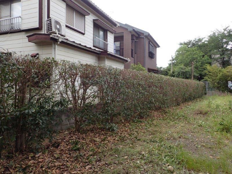 庭