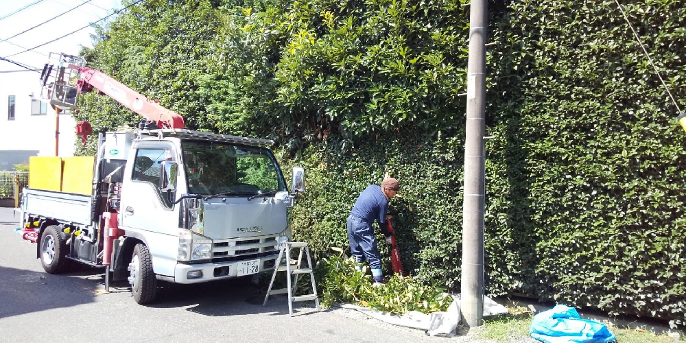 刈り込み作業
