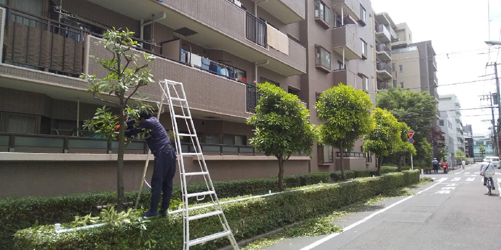 グリーンツリーカットデザイナー