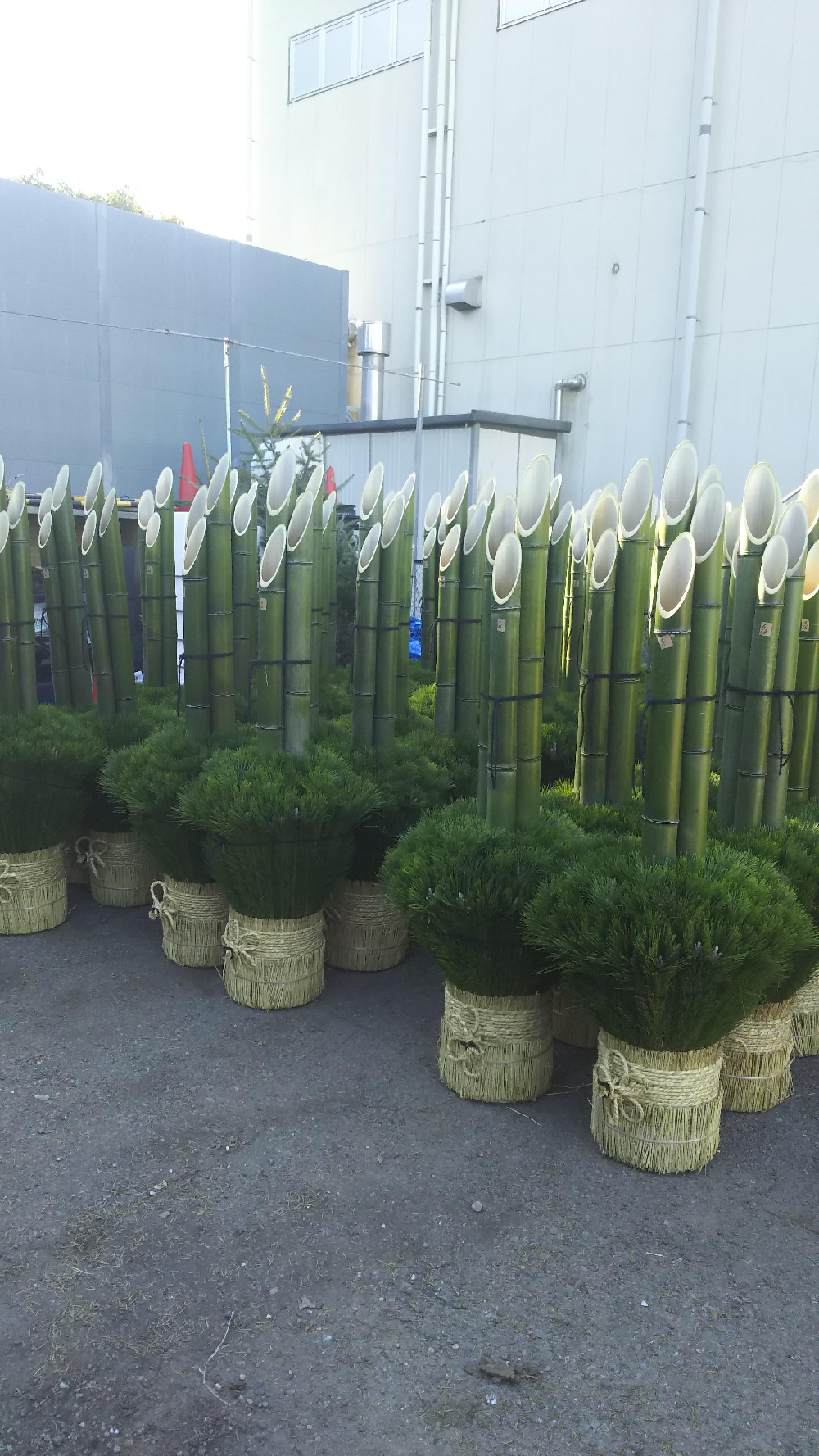 門松絶賛入荷中