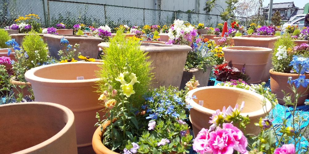 花プランター