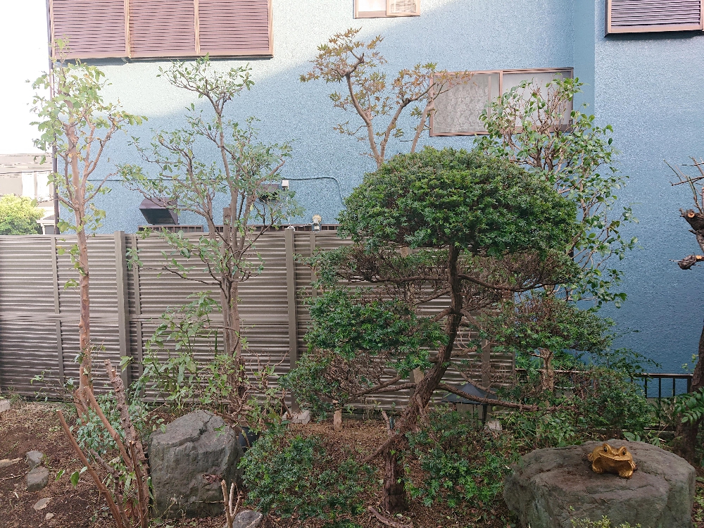 剪定作業